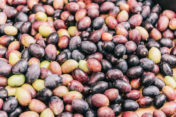 Ev Yapımı Siyah Zeytin Nasıl Yapılır? (Katkısız ve Doğal Tarif) - Avni Erel Zeytincilik
