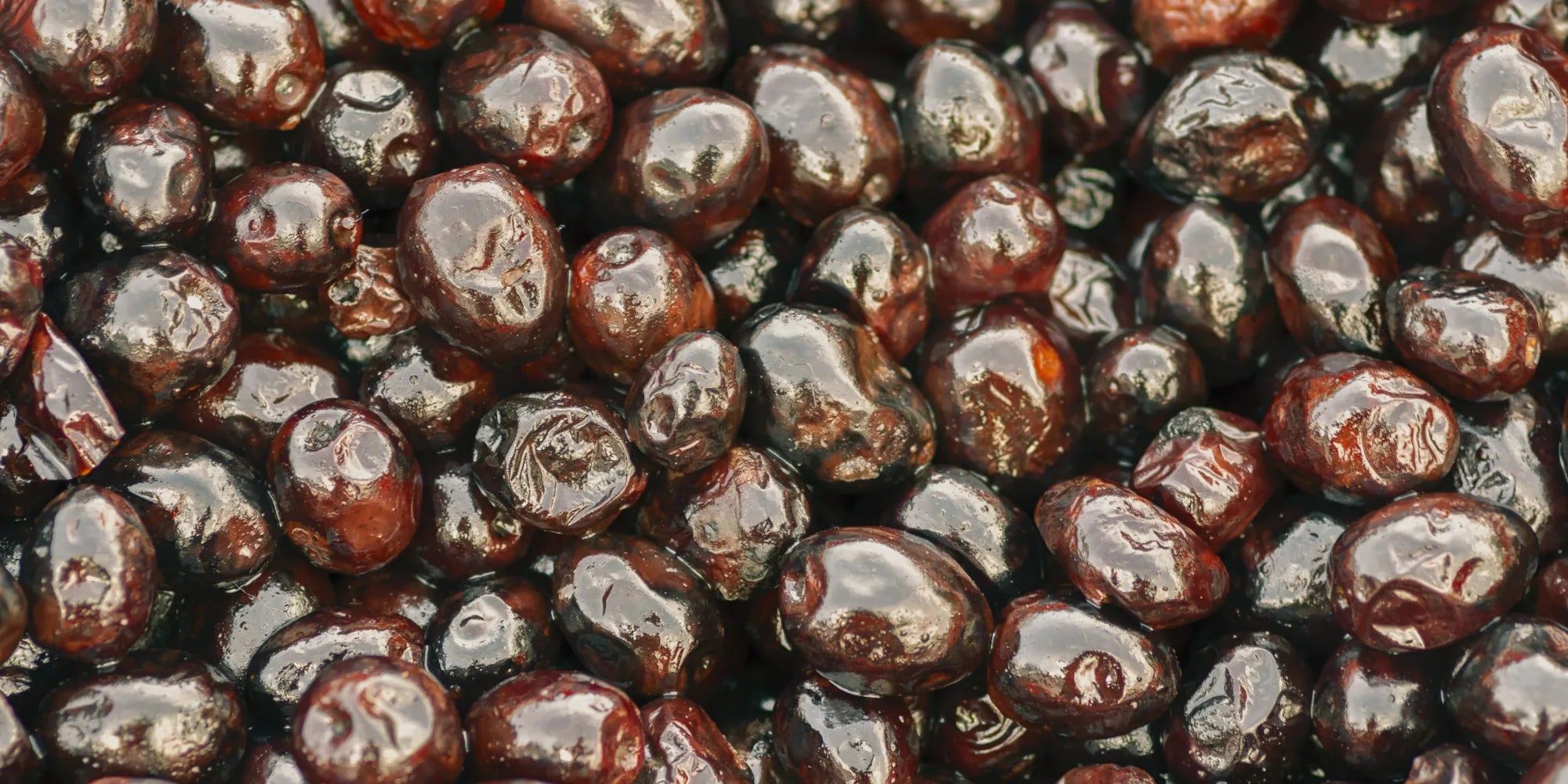 Sele Zeytin